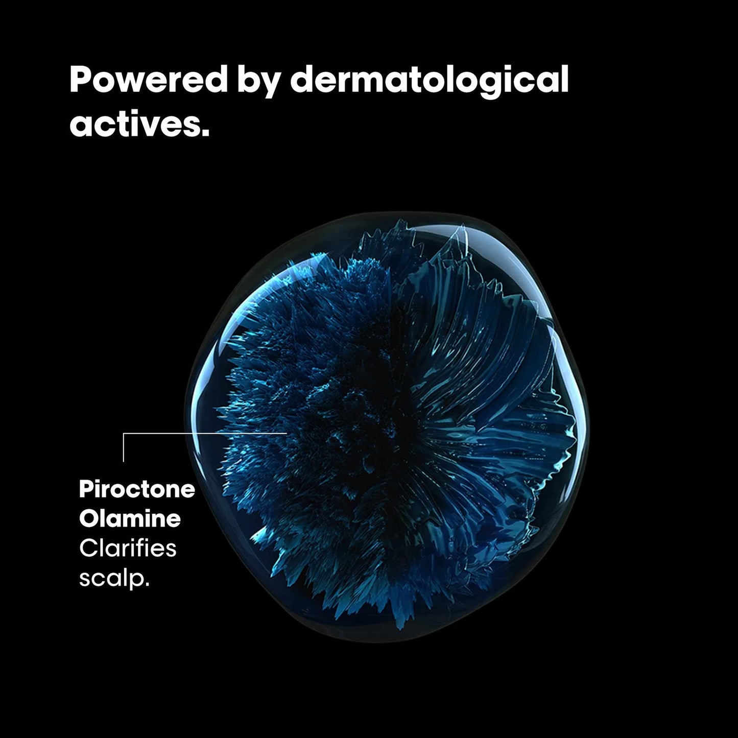 L'Oréal Anti-dandruff dermo-clarifier shampoo